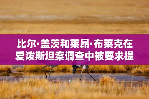 比尔·盖茨和莱昂·布莱克在爱泼斯坦案调查中被要求提供证词