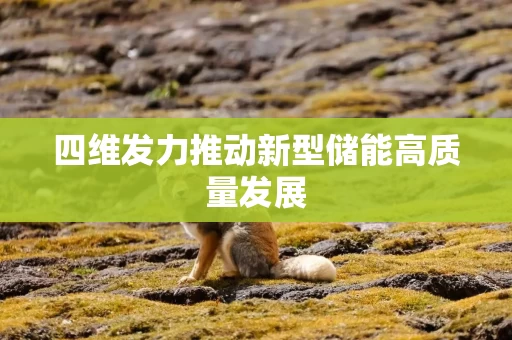 四维发力推动新型储能高质量发展