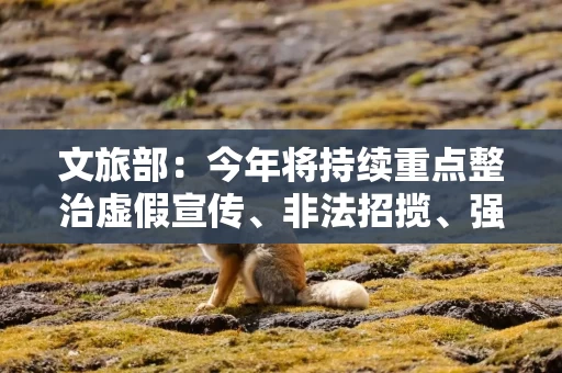 文旅部：今年将持续重点整治虚假宣传、非法招揽、强迫消费等