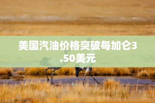 美国汽油价格突破每加仑3.50美元
