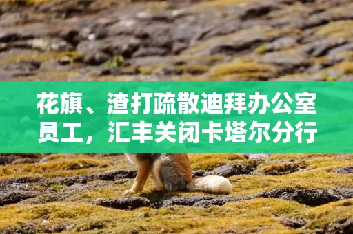 花旗、渣打疏散迪拜办公室员工，汇丰关闭卡塔尔分行