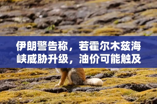 伊朗警告称，若霍尔木兹海峡威胁升级，油价可能触及每桶200美元