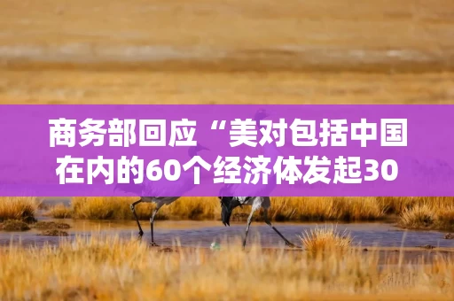商务部回应“美对包括中国在内的60个经济体发起301调查”：严重扰乱国际经贸秩序