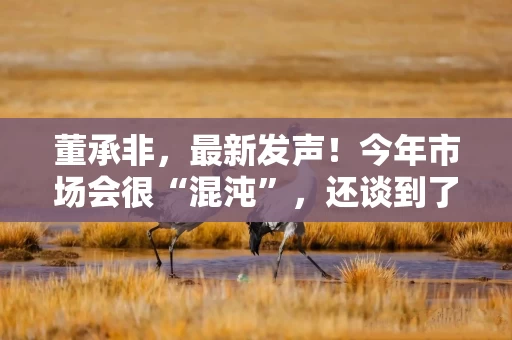 董承非，最新发声！今年市场会很“混沌”，还谈到了地产股