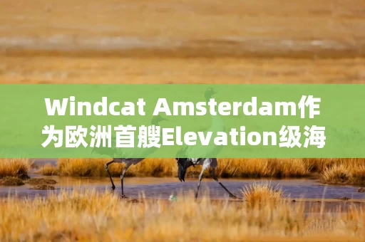 Windcat Amsterdam作为欧洲首艘Elevation级海上风电运维母船正式亮相
