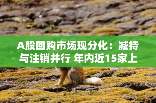 A股回购市场现分化：减持与注销并行 年内近15家上市公司减持已回购股票，注销式回购增加