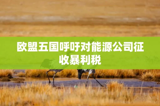 欧盟五国呼吁对能源公司征收暴利税