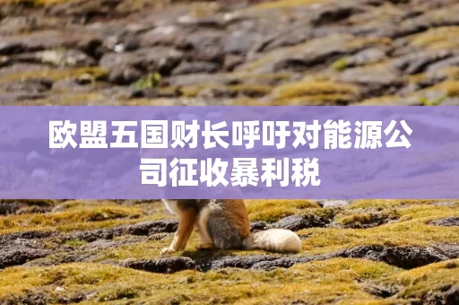 欧盟五国财长呼吁对能源公司征收暴利税
