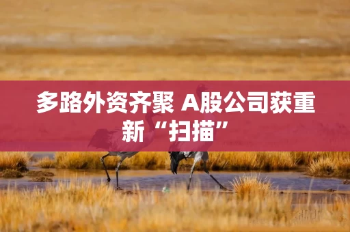 多路外资齐聚 A股公司获重新“扫描”