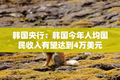 韩国央行:韩国今年人均国民收入有望达到4万美元 韩国央行:韩国今年人均国民收入有望达到4万美元