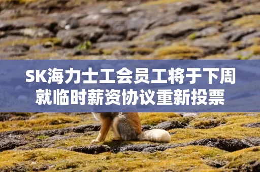 SK海力士工会员工将于下周就临时薪资协议重新投票 SK海力士工会员工将于下周就临时薪资协议重新投票
