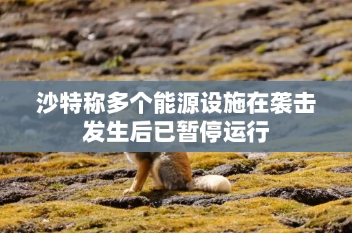 沙特称多个能源设施在袭击发生后已暂停运行