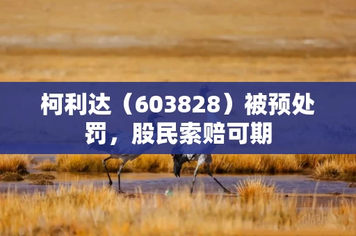 柯利达(603828)被预处罚,股民索赔可期 柯利达(603828)被预处罚,股民索赔可期