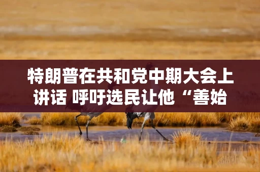 特朗普在共和党中期大会上讲话 呼吁选民让他“善始善终” 特朗普在共和党中期大会上讲话 呼吁选民让他“善始善终”