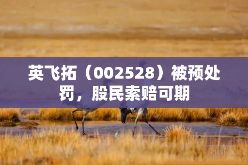 英飞拓(002528)被预处罚,股民索赔可期 英飞拓(002528)被预处罚,股民索赔可期