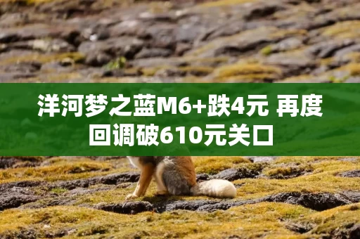 洋河梦之蓝M6+跌4元 再度回调破610元关口