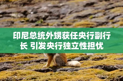 印尼总统外甥获任央行副行长 引发央行独立性担忧