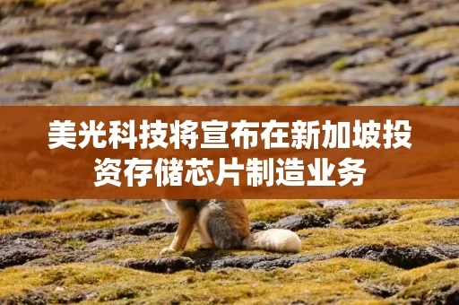 美光科技将宣布在新加坡投资存储芯片制造业务