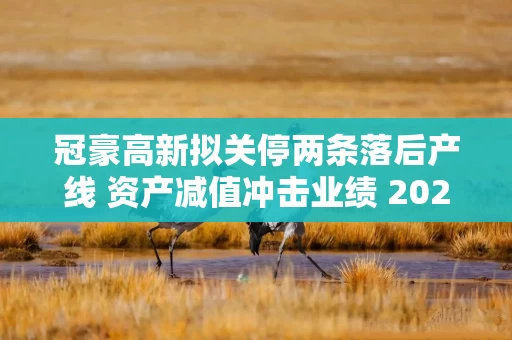 冠豪高新拟关停两条落后产线 资产减值冲击业绩 2025年预亏
