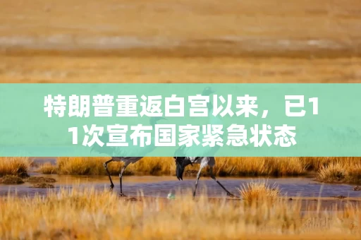 特朗普重返白宫以来，已11次宣布国家紧急状态