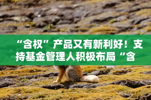 “含权”产品又有新利好!支持基金管理人积极布局“含权”产品,“含权”二级债基快速审批通道正式启动 “含权”产品又有新利好!支持基金管理人积极布局“含权”产品,“含权”二级债基快速审批通道正式启动