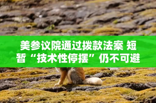 美参议院通过拨款法案 短暂“技术性停摆”仍不可避免