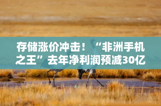 存储涨价冲击!“非洲手机之王”去年净利润预减30亿元 存储涨价冲击!“非洲手机之王”去年净利润预减30亿元