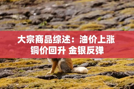 大宗商品综述：油价上涨 铜价回升 金银反弹