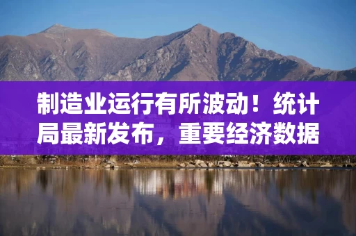 制造业运行有所波动！统计局最新发布，重要经济数据出炉