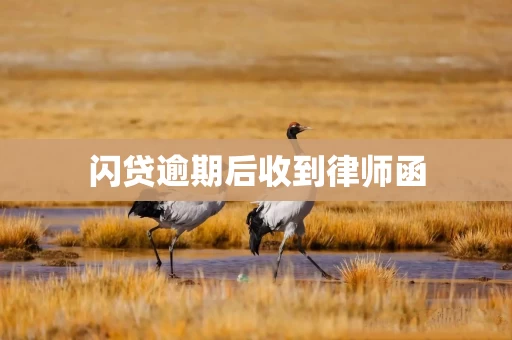 闪贷逾期后收到律师函