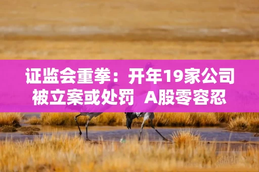 证监会重拳：开年19家公司被立案或处罚  A股零容忍持续升级