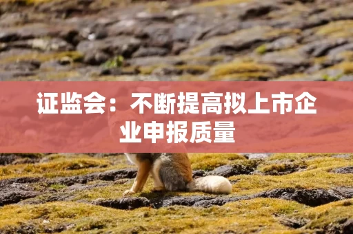 证监会：不断提高拟上市企业申报质量