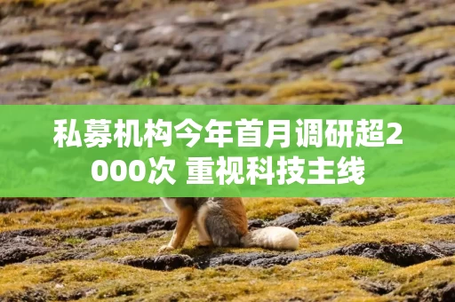 私募机构今年首月调研超2000次 重视科技主线