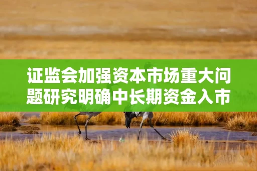 证监会加强资本市场重大问题研究明确中长期资金入市等12个选题方向