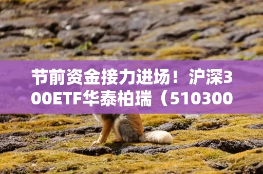 节前资金接力进场！沪深300ETF华泰柏瑞（510300）、A500ETF华泰柏瑞（563360）连续2个交易日转为资金净流入