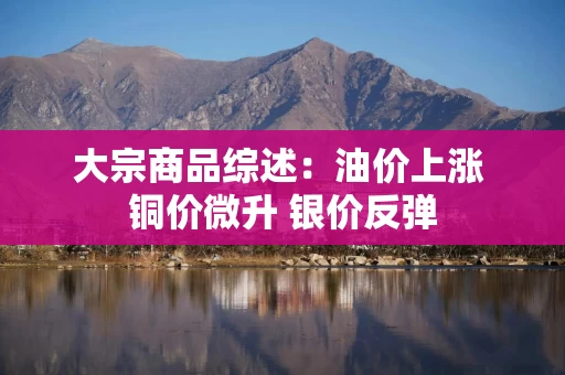 大宗商品综述：油价上涨 铜价微升 银价反弹