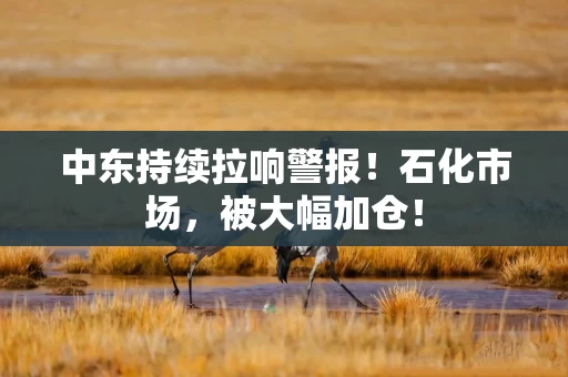 中东持续拉响警报！石化市场，被大幅加仓！