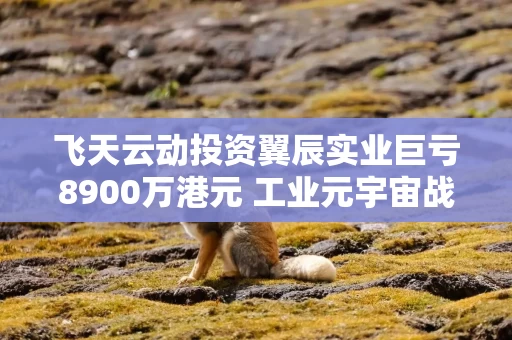 飞天云动投资翼辰实业巨亏8900万港元 工业元宇宙战略宣告破产