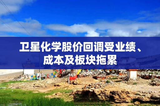 卫星化学股价回调受业绩、成本及板块拖累