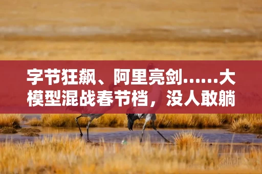 字节狂飙、阿里亮剑……大模型混战春节档，没人敢躺