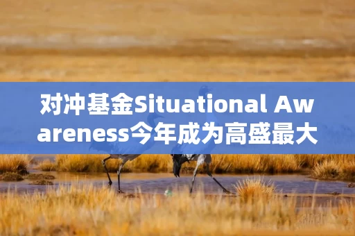 对冲基金Situational Awareness今年成为高盛最大客户 对冲基金Situational Awareness今年成为高盛最大客户