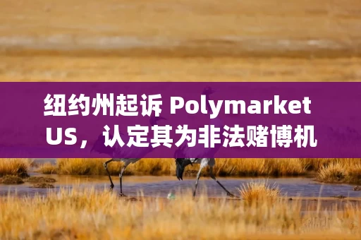 纽约州起诉 Polymarket US，认定其为非法赌博机构