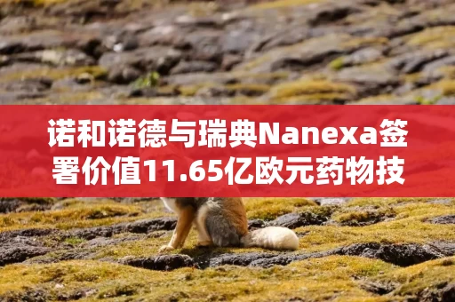 诺和诺德与瑞典Nanexa签署价值11.65亿欧元药物技术合作协议 诺和诺德与瑞典Nanexa签署价值11.65亿欧元药物技术合作协议
