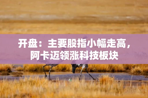 开盘：主要股指小幅走高，阿卡迈领涨科技板块