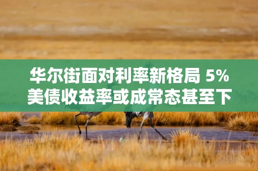华尔街面对利率新格局 5%美债收益率或成常态甚至下限 华尔街面对利率新格局 5%美债收益率或成常态甚至下限