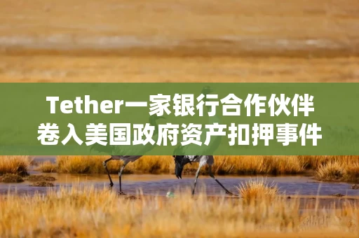 Tether一家银行合作伙伴卷入美国政府资产扣押事件