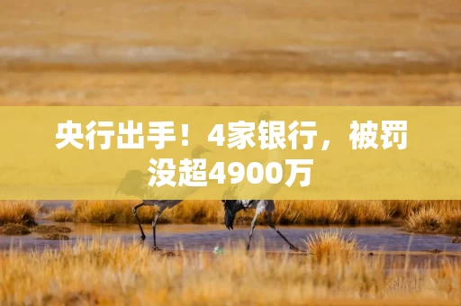 央行出手！4家银行，被罚没超4900万