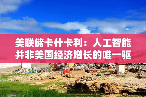 美联储卡什卡利:人工智能并非美国经济增长的唯一驱动力 美联储卡什卡利:人工智能并非美国经济增长的唯一驱动力