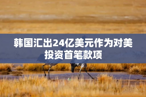 韩国汇出24亿美元作为对美投资首笔款项 韩国汇出24亿美元作为对美投资首笔款项