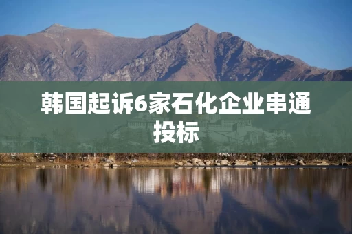 韩国起诉6家石化企业串通投标